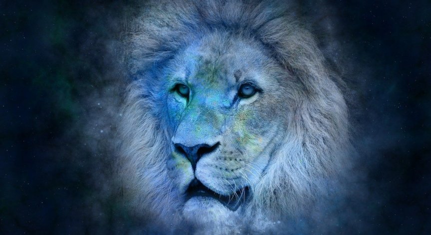 Сезонът на Лъва продължава до 22 август.