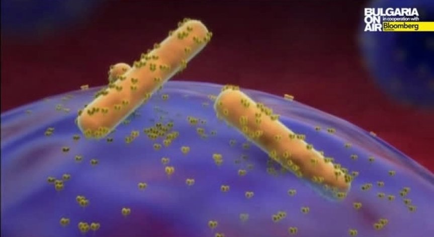 Вирусът ебола мутира, предупредиха учени