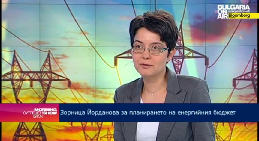 В ЧЕЗ постъпили над 1000 заявления за разсрочено плащане на задължения