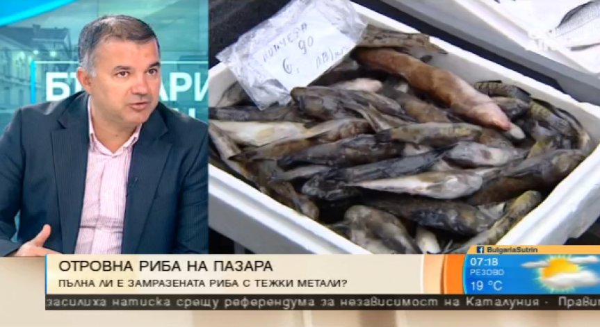 Риба с олово и яйца с фипронил: Какво ядем?