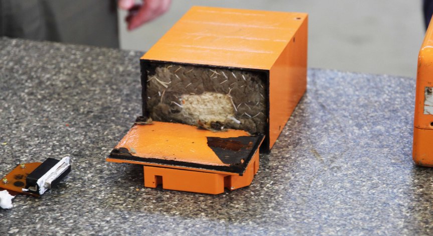 До дни пращат 