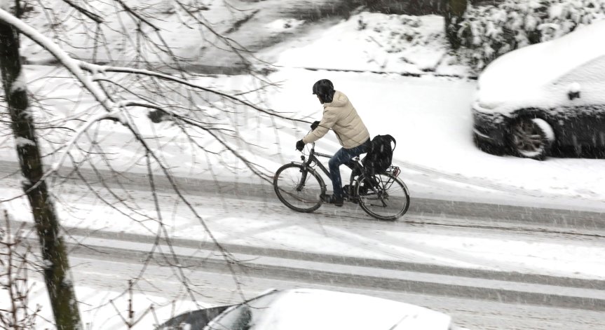 Рекорден снеговалеж в Аляска, покривите не издържат под тежестта му