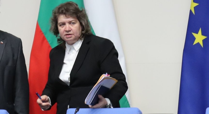 Доц. Киселова се позовава на Конституцията.