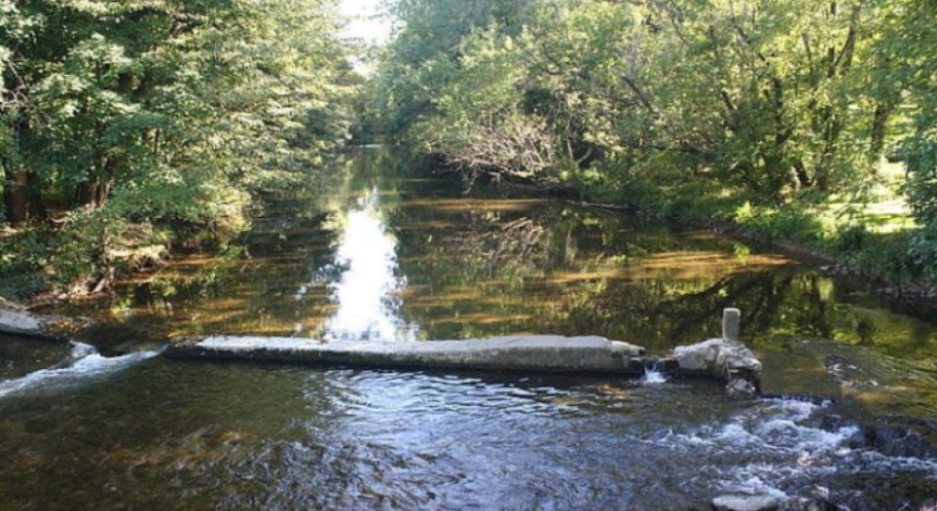 43-годишен мъж се удави във водите на Бели Вит