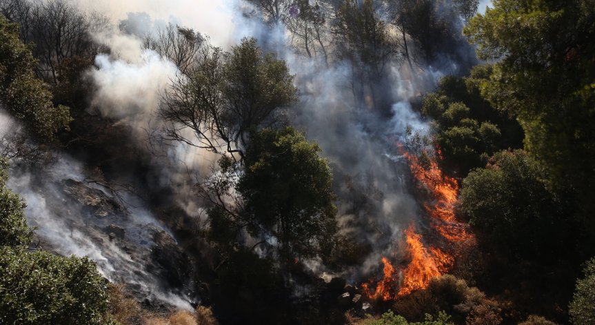 Пожарите в Гърция са унищожили рекордна площ земя през юни
