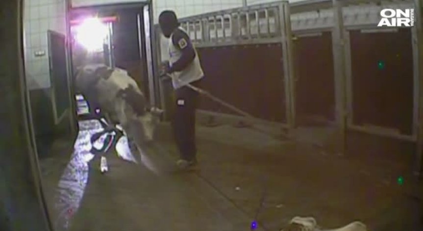 Разбиха незаконна кланица в Полша изнасяла месо от болни животни