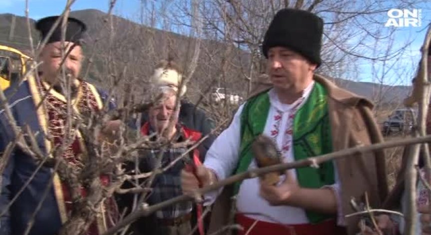 Отбелязваме Трифон Зарезан - празник на лозаря и виното