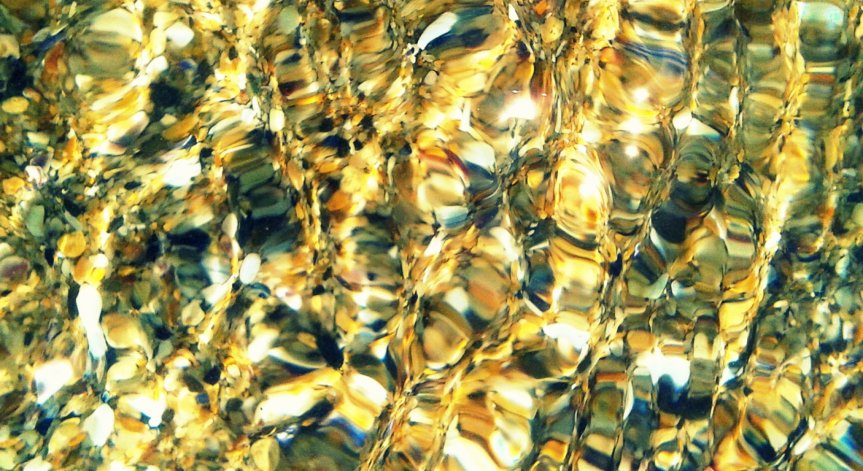 Многото лица и имена на корупцията - Виктор Папазов