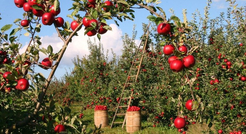 Консуматорско общество: Колко струват реално храните?