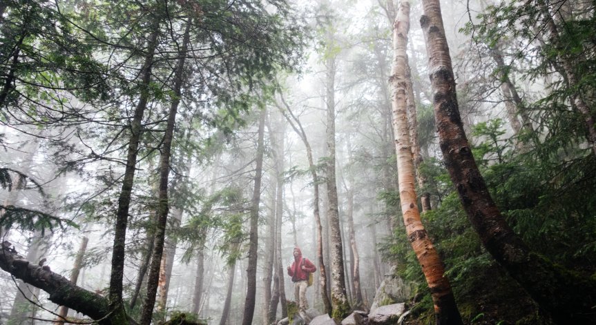 Кои ще са най-готините места за туризъм през 2015г.?