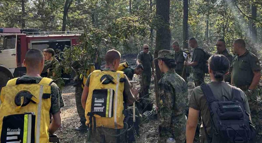 Военните подпомагат огнеборците в критични точки на пожара.