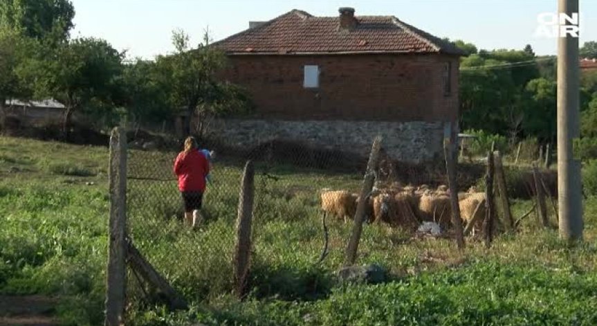 Заради чумата в Болярово: Еврокомисията налага санкции на България
