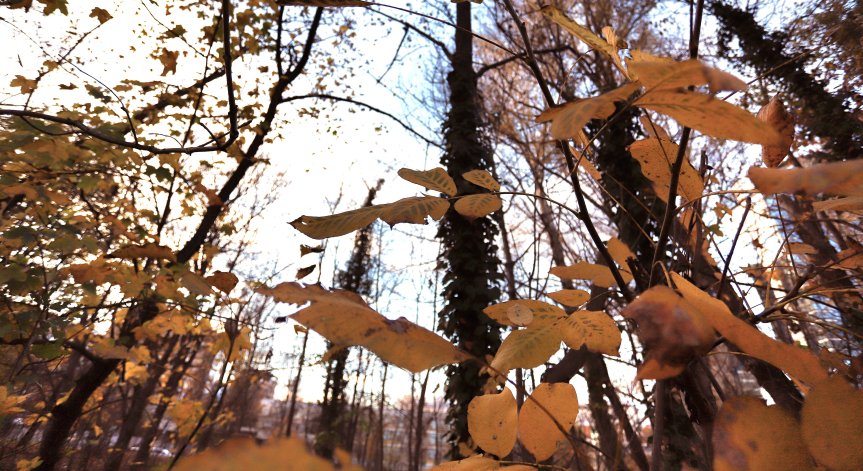 Очаква ни слънчева събота с максимални температури между 6° и 11°