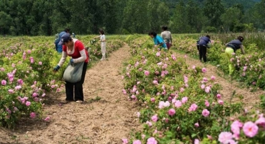 Земеделците ще плащат такси за предпазване от градушки