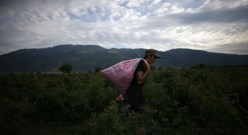 Ивайло Тодоров: Европа дава насоката за промяна на схемата с директни плащания на площ