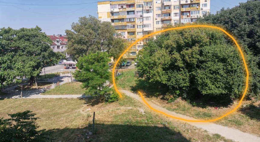 От Варна: На детска площадка се събират наркомани, алкохолици, педофили...