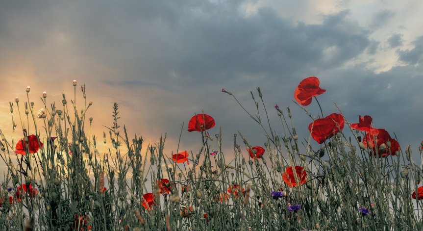 Максималните температури ще бъдат между 20° и 25°.