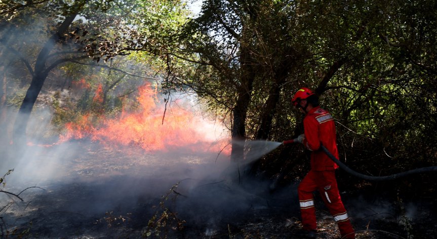 Силни ветрове усложняват гасенето на пламъците в няколко държави