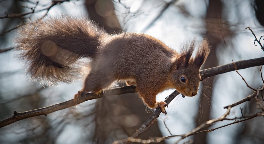Времето днес: Преобладаващо слънчево, но със студени температури