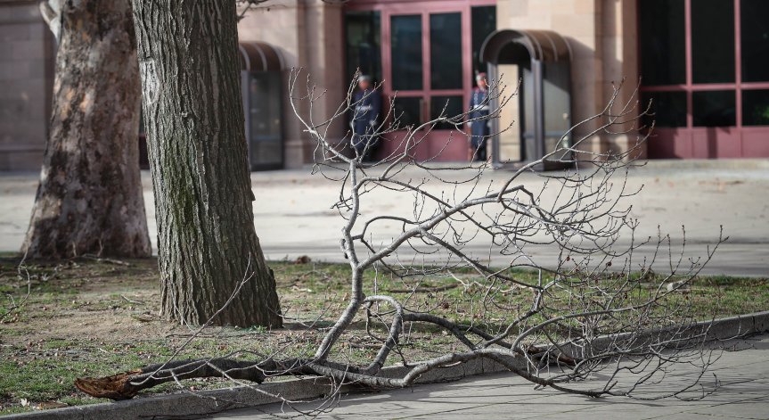 Бурен вятър троши клони и огради в София