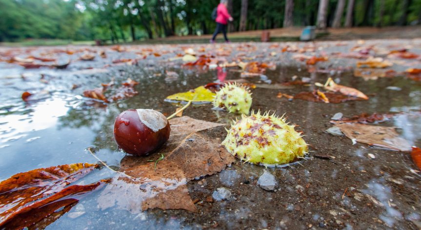 От обяд от запад облачността ще се увеличава.