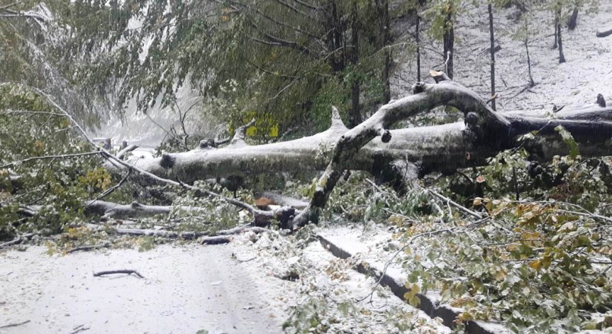 8 машини започват разчистването на Троянския проход