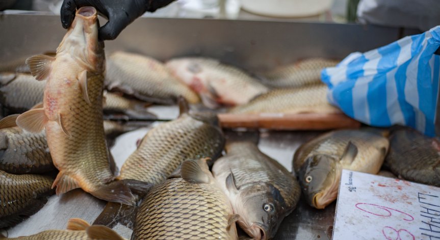 На днешния празник моряците трябва да пуснат котви от уважение към морето и морските стихии.