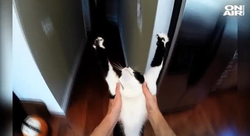 Ние сме шампионите!