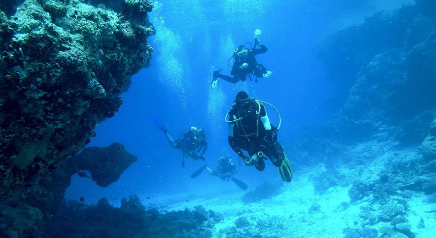 Археолози откриха гробище под вода в национален парк във Флорида
