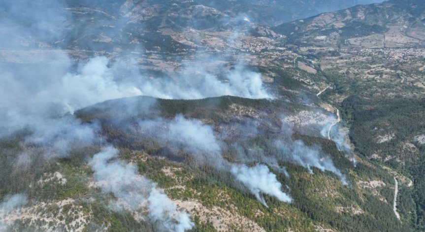 Локализираха пожара край Хвойна, обхванал е около 1500 декара