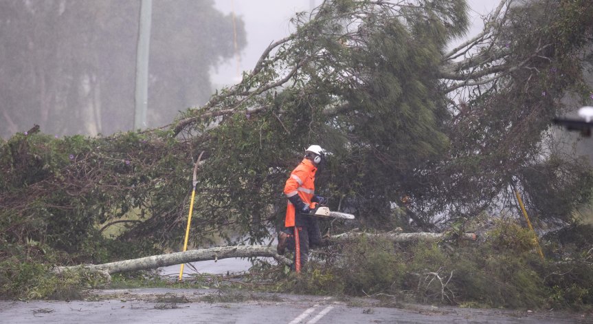 В засегнатите райони са затворени всички училища, обществен транспорт и предприятия.