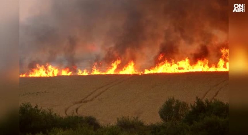 Огънят се разпространява в труднодостъпни горски терени.