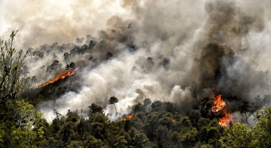 Пожарникари и военни действат за ограничаване на огъня.