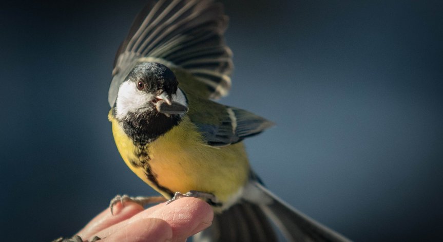 В планините ще бъде предимно слънчево.