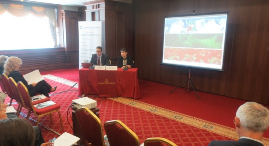 Зам.-министър Везиева: Насърчаваме инвестиции с висока добавена стойност