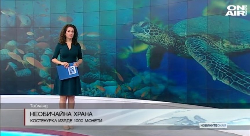 Лекари в Тайланд извадиха 5 килограма монети от стомаха на костенурка