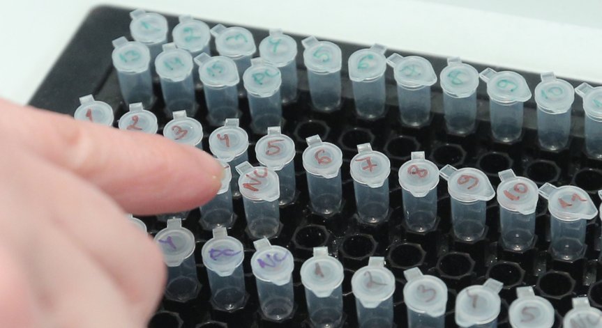 Ковид-19: Без починали и ваксинирани за денонощието, 12,7% са положителните проби