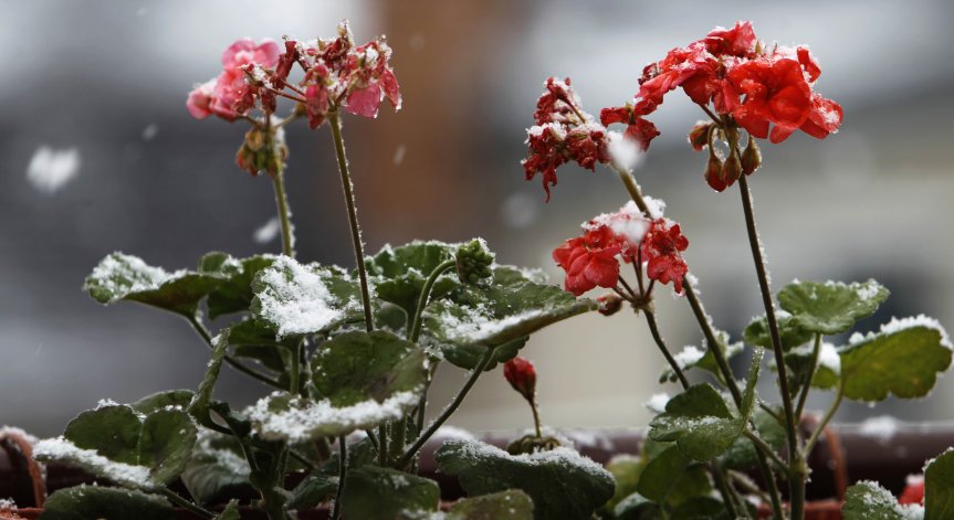 Лют студ и изненади: Ето каква зима очаква България