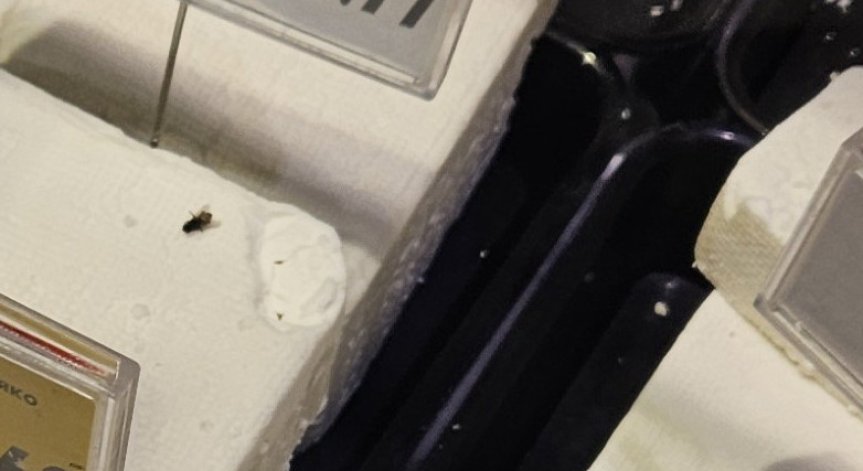 Служителката само изрязала мястото, върху което била мухата.