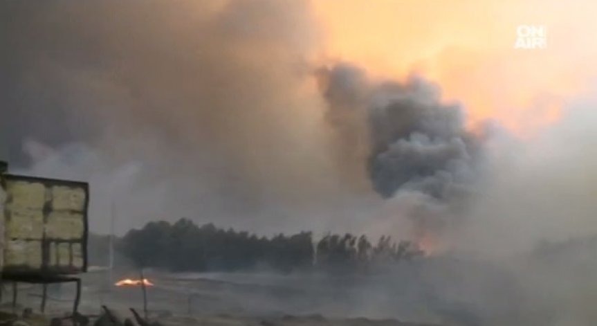 Пожар в Португалия взе десетки жертви