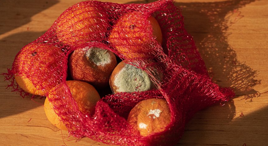 Няколко прости правила, за да намалите изхвърлянето на храна