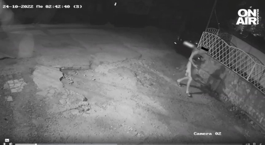 Helpbook: Мъчителят на кучета е добре познат в квартала си, често са намирани трупове