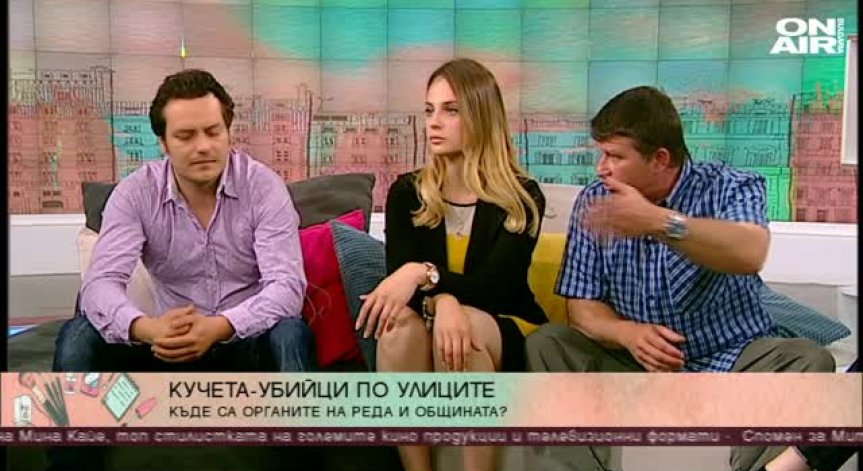 Агресивни кучета нападат не само хора, но и други домашни любимци, безотговорни ли са стопаните им?