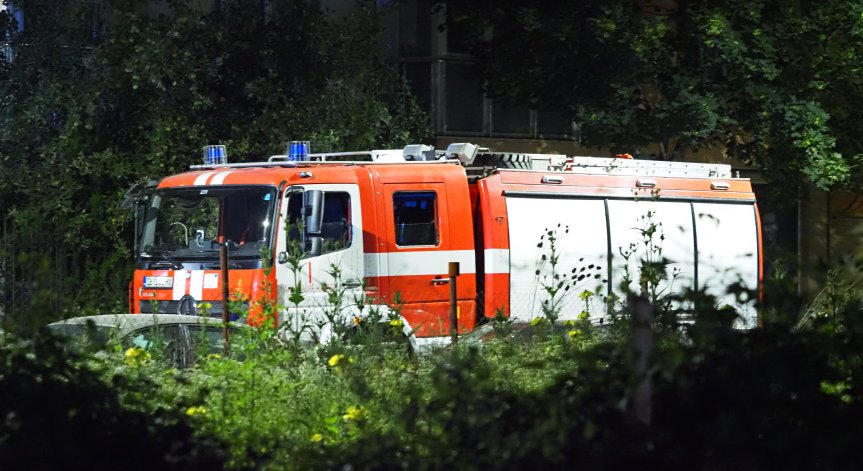 Пожари обхванаха Южна България, огнеборци и доброволци прекараха нощта на терен