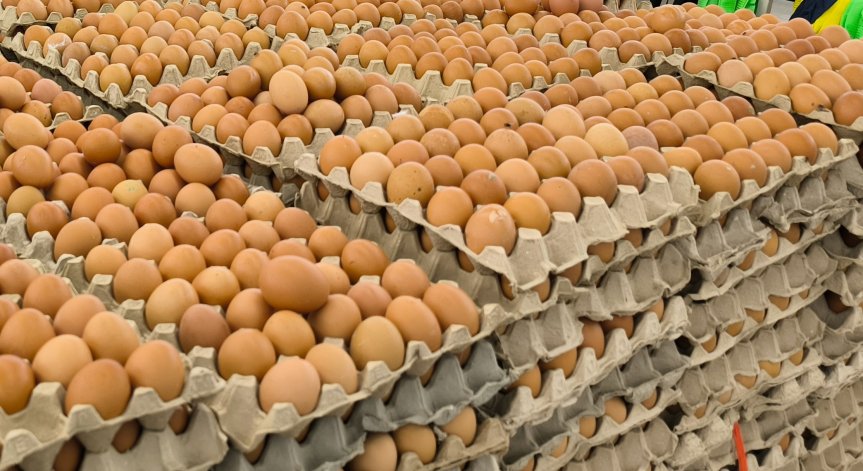 БАБХ: Контролираме строго вноса на продукти от Украйна, няма установени тежки метали и радиоактивност