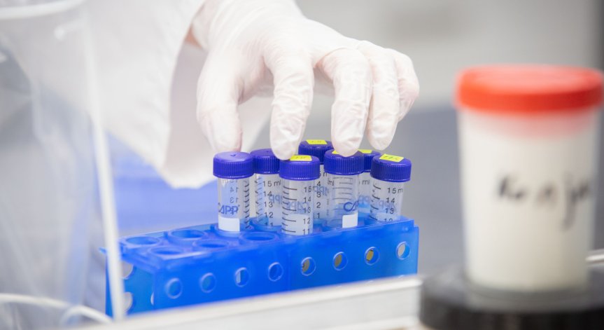 15 нови случая на Ковид-19 за 24 часа у нас (ОБНОВЕНА)