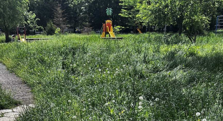 Има детски площадки и риск от развъждане на инсекти.