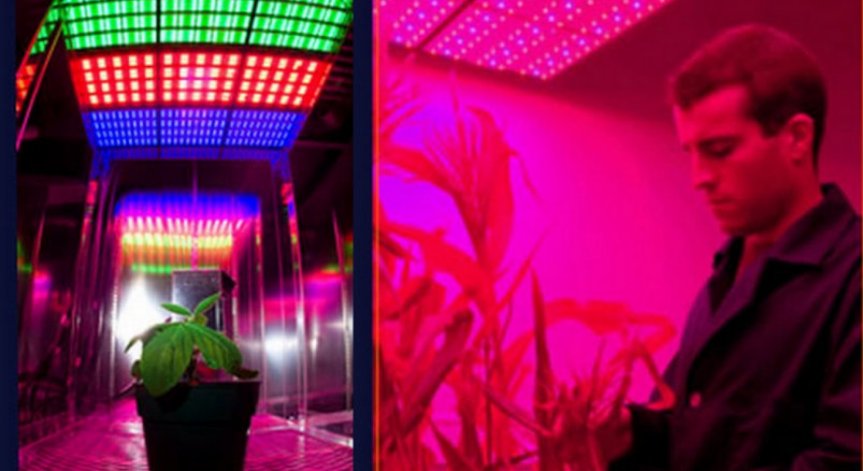 Салата от космоса на 322 километра над Земята