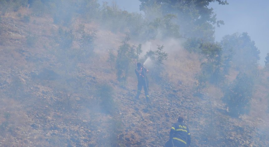 В района на огнената стихия няма жилищни сгради и комплекси.