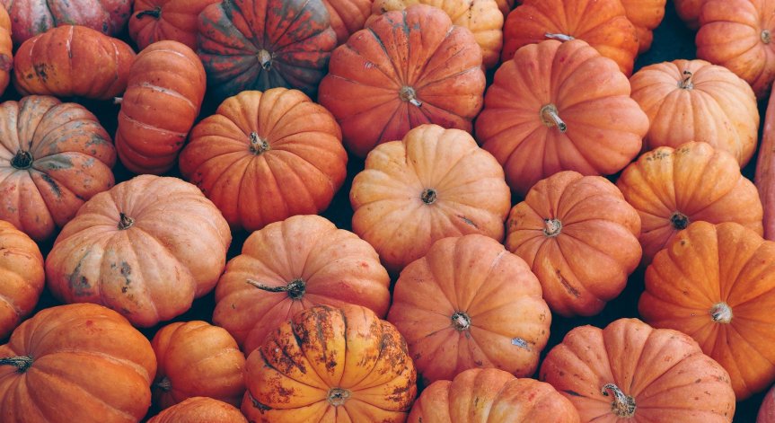 Тиквата е универсален зеленчук - за какво можем да я използваме?